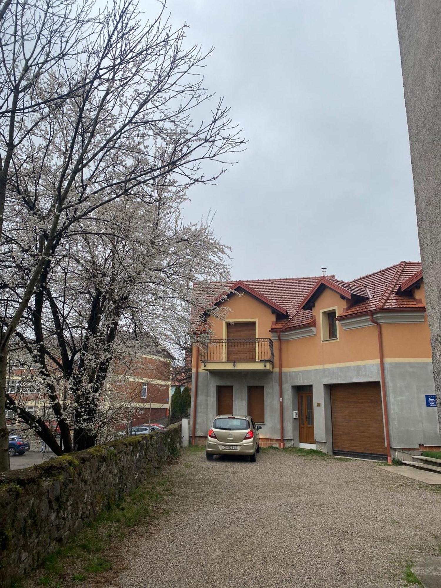 Apartman Galerija Оґулин Екстер'єр фото