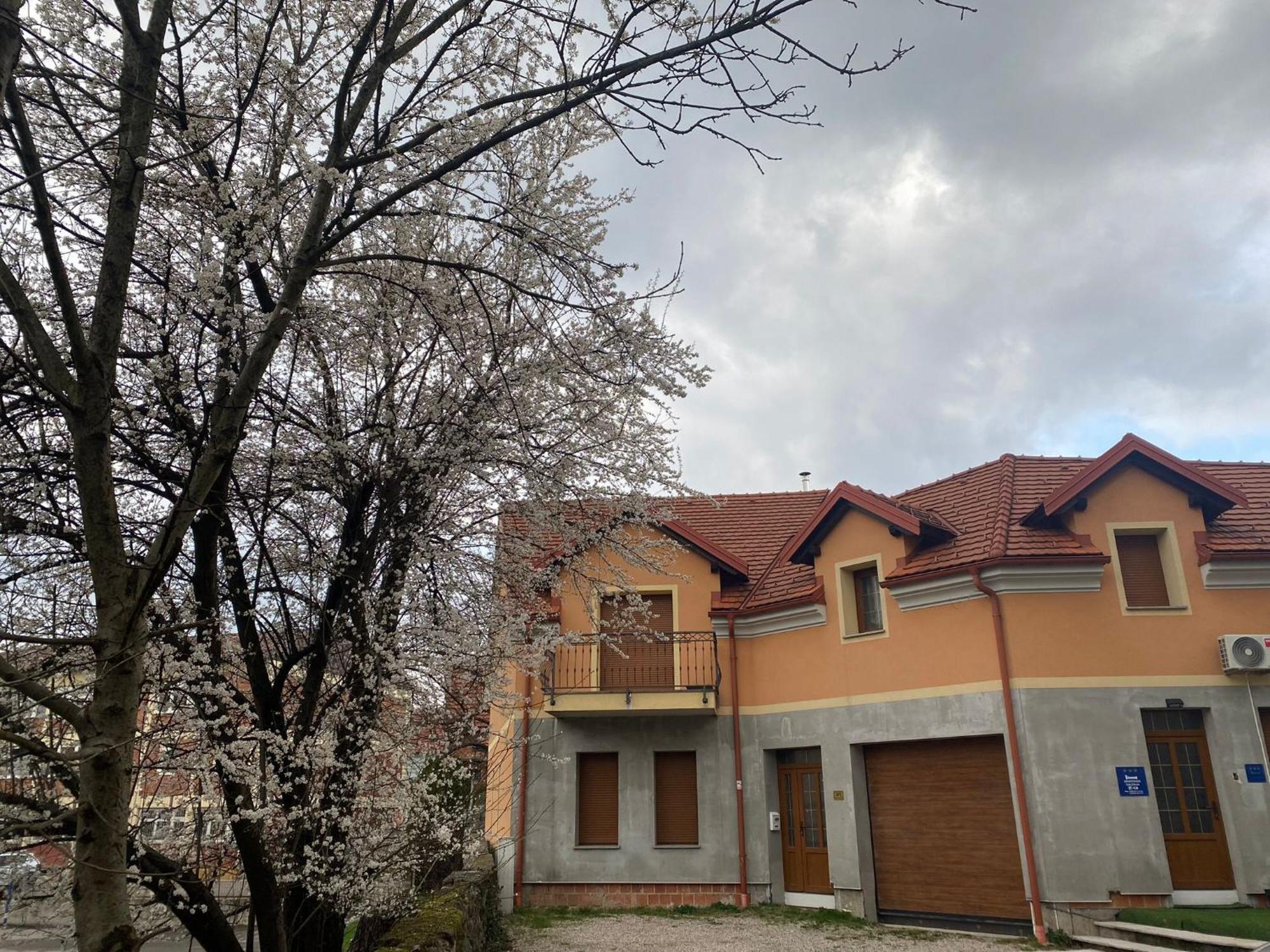 Apartman Galerija Оґулин Екстер'єр фото